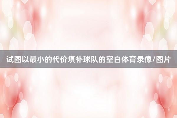 试图以最小的代价填补球队的空白体育录像/图片