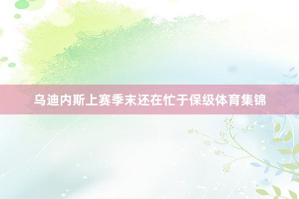 　　乌迪内斯上赛季末还在忙于保级体育集锦
