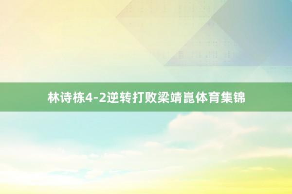 林诗栋4-2逆转打败梁靖崑体育集锦