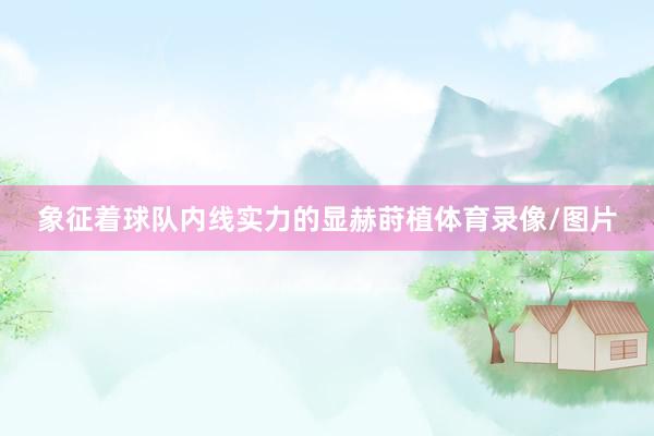 象征着球队内线实力的显赫莳植体育录像/图片