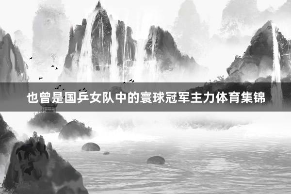 也曾是国乒女队中的寰球冠军主力体育集锦